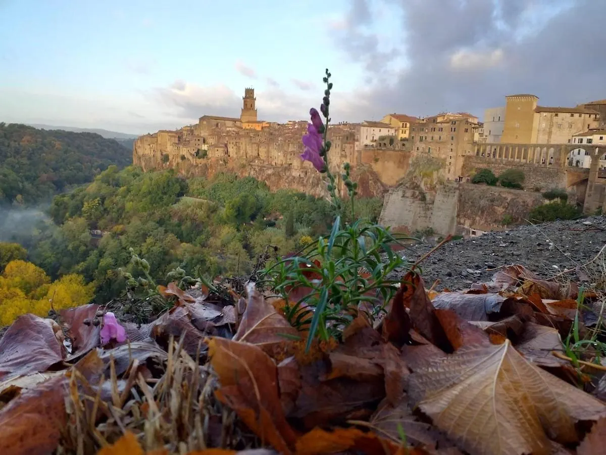 Vignagrande Apartment Pitigliano